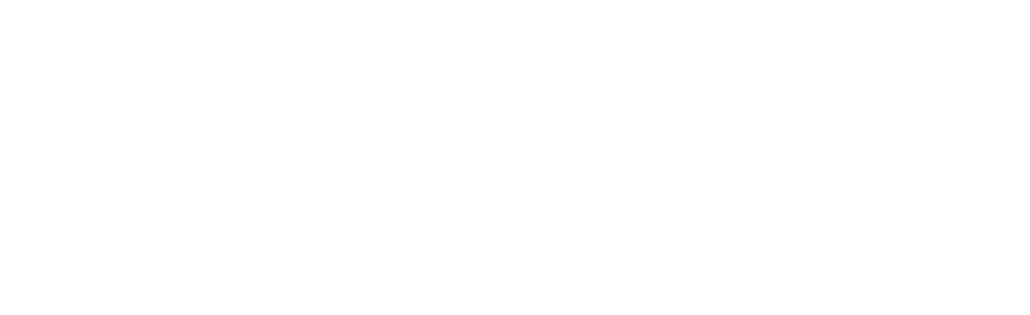 大熊座